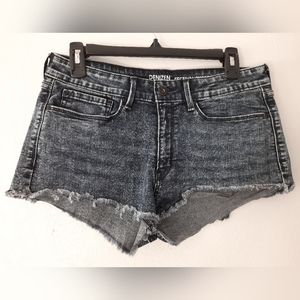 Festival Shorts